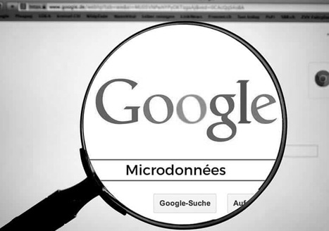 Les micro donnees pour des Rich Snippets